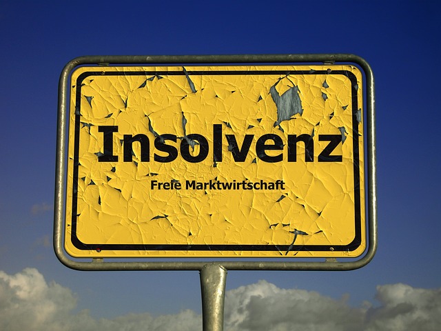 cedule insolvence
