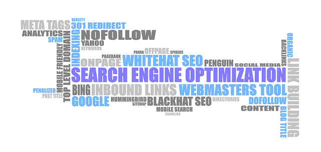 Search Engine Optimization, slová